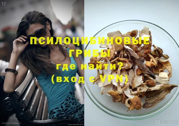 хмурый Белокуриха