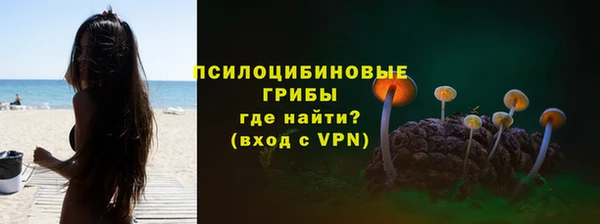 хмурый Белокуриха