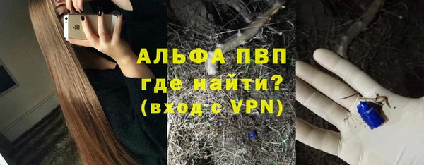 хмурый Белокуриха