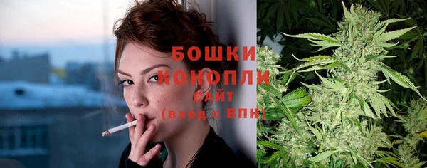 спайс Богородск